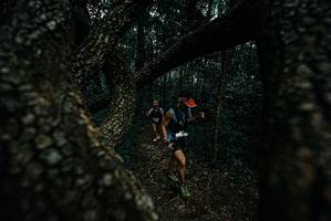 BIB: 
                            <button type="button" onclick="openModal(25688208)" class="btn btn-primary btn-sm float-right btn-popup" data-toggle="modal" data-target=".modal-high-quality">
                        <i class="fas fa-shopping-cart"></i> Add to Cart
                    </button>
                                            <button type="button" onclick="isThisMe(25688208, true)" class="btn btn-success btn-sm float-right btn-popup btn-isme hidden" data-toggle="tooltip" data-placement="bottom" title="นี่คือรูปของคุณใช่ไหม คลิกที่นี่เพื่อเอาเข้าอัลบั้ม">
                        <i class="fas fa-plus"></i> Add to album
                    </button>
                    <button type="button" onclick="isThisMe(25688208, false)" class="btn btn-warning btn-sm float-right btn-popup btn-isnotme hidden">
                        <i class="fas fa-ban"></i> Remove from album
                    </button>